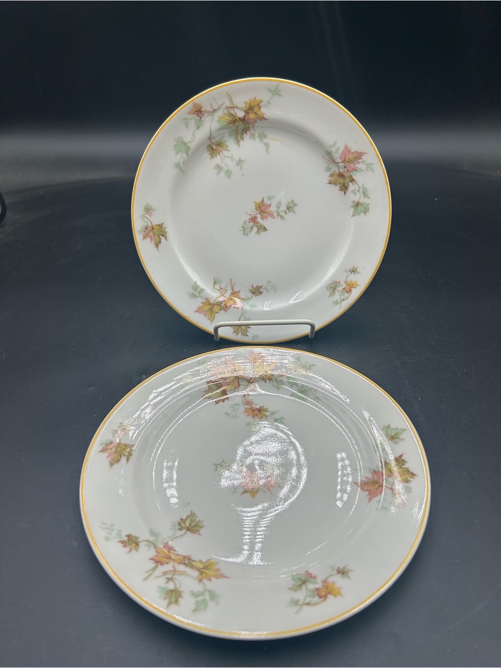 Haviland Limoges Porcelain Dinner Plates with Autumn Leaf Pattern